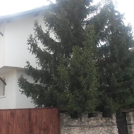 Guest House Khizhina - Easy Home Sapareva Banya Luaran gambar